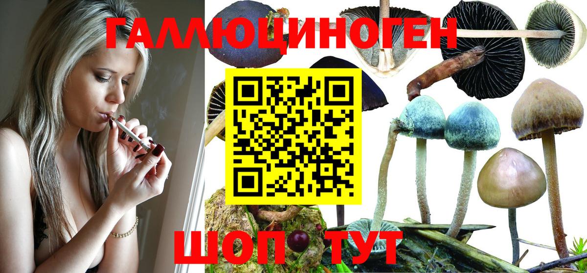 Берёзовский  Псилоцибиновые грибы Psilocybe  Вход с VPN 